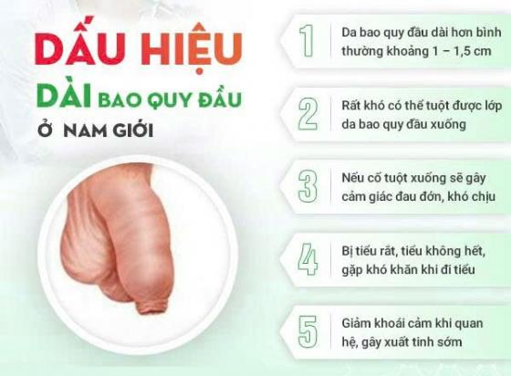 Nguyên Nhân Dài Bao Quy Đầu Là Gì?