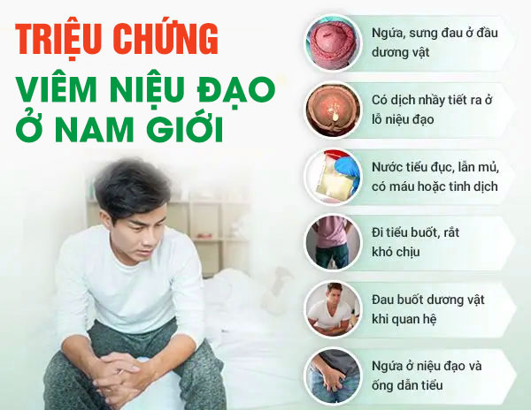 Dấu Hiệu Viêm Niệu Đạo Nam 