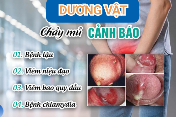 benh-xa-hoi (44).png