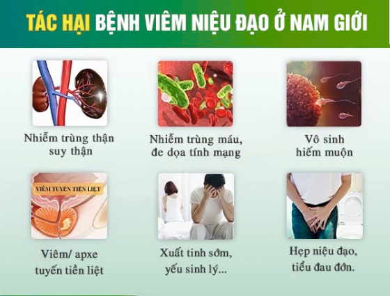 Thiết kế chưa có tên (18).png
